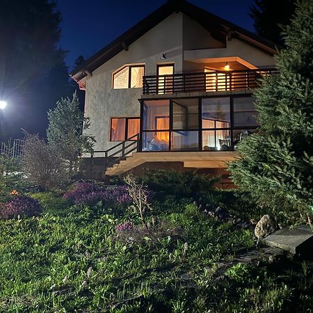 Vila Babylon Predeal Εξωτερικό φωτογραφία