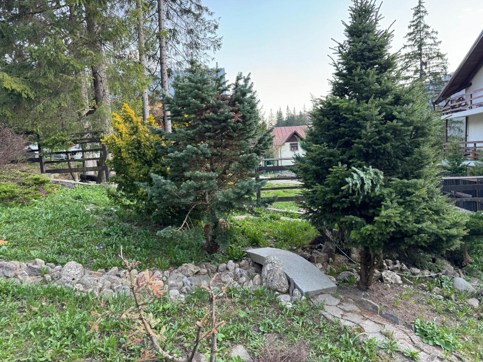 Vila Babylon Predeal Εξωτερικό φωτογραφία